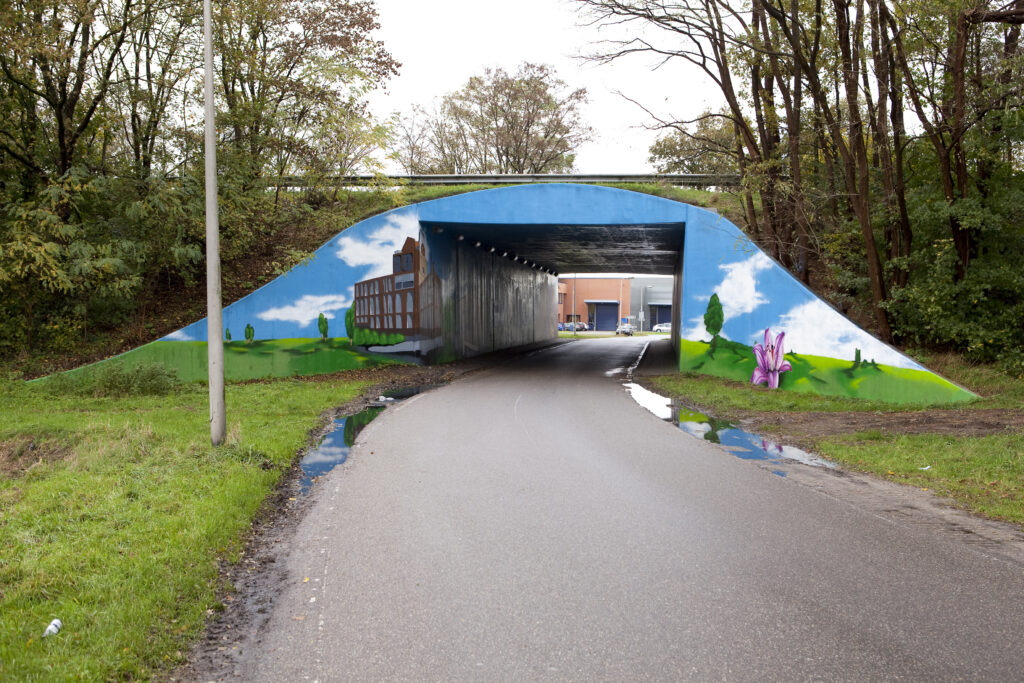 MANS Urban Exposure - Muurschildering Gemeente Enschede fietstunnel Geerdinksweg (12)